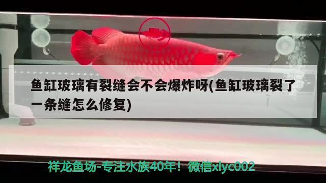 魚缸玻璃有裂縫會不會爆炸呀(魚缸玻璃裂了一條縫怎么修復(fù))