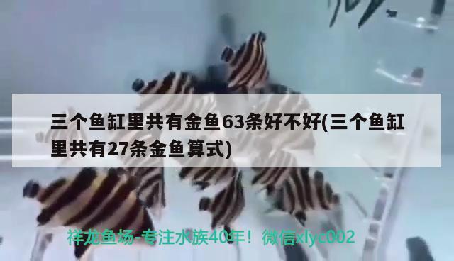 三個(gè)魚缸里共有金魚63條好不好(三個(gè)魚缸里共有27條金魚算式)