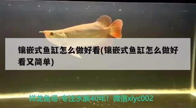 鑲嵌式魚缸怎么做好看(鑲嵌式魚缸怎么做好看又簡單)