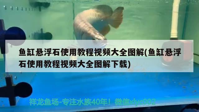 魚缸懸浮石使用教程視頻大全圖解(魚缸懸浮石使用教程視頻大全圖解下載)