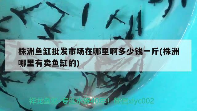 株洲魚缸批發(fā)市場在哪里啊多少錢一斤(株洲哪里有賣魚缸的) PH調(diào)節(jié)劑