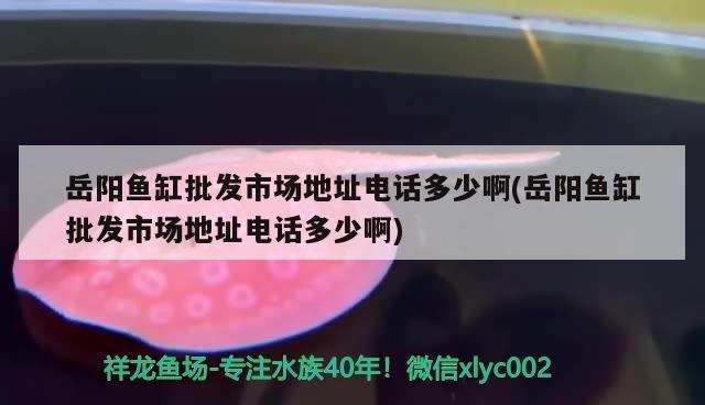 岳陽魚缸批發(fā)市場地址電話多少啊(岳陽魚缸批發(fā)市場地址電話多少啊)