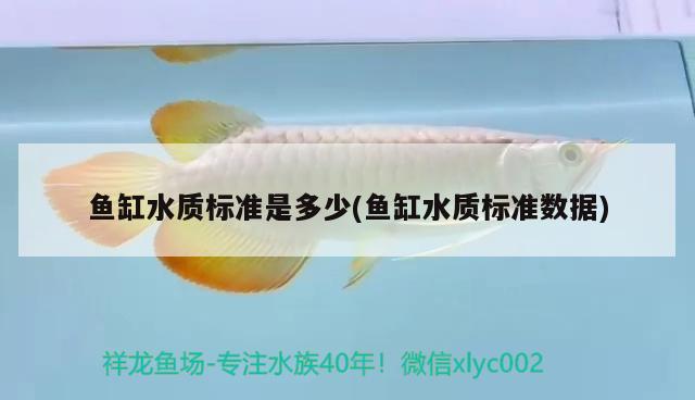 魚缸水質(zhì)標(biāo)準(zhǔn)是多少(魚缸水質(zhì)標(biāo)準(zhǔn)數(shù)據(jù))