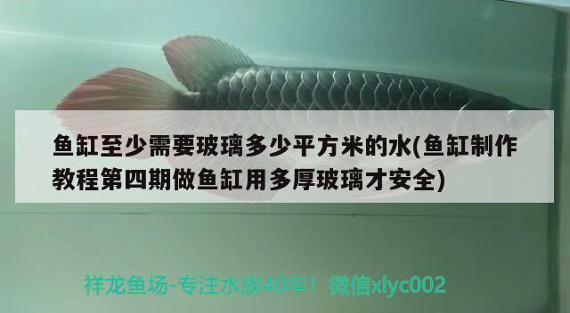 魚缸至少需要玻璃多少平方米的水(魚缸制作教程第四期做魚缸用多厚玻璃才安全) 雙線側(cè)魚 第2張