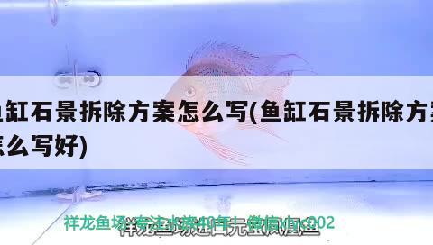 魚缸石景拆除方案怎么寫(魚缸石景拆除方案怎么寫好) 飛鳳魚苗