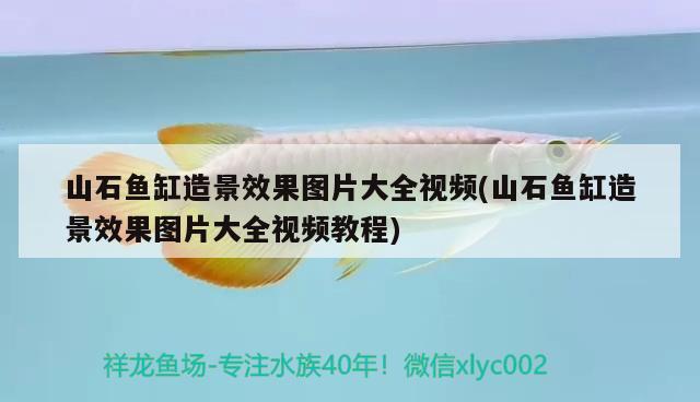 山石魚(yú)缸造景效果圖片大全視頻(山石魚(yú)缸造景效果圖片大全視頻教程) 元寶鳳凰魚(yú)專(zhuān)用魚(yú)糧