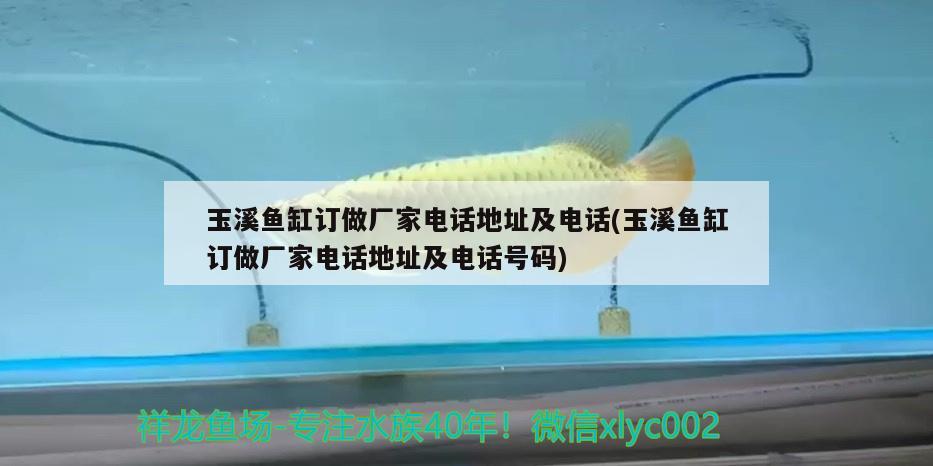 玉溪魚缸訂做廠家電話地址及電話(玉溪魚缸訂做廠家電話地址及電話號(hào)碼) 黑桃A魚苗