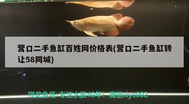 營口二手魚缸百姓網(wǎng)價(jià)格表(營口二手魚缸轉(zhuǎn)讓58同城) 水族維護(hù)服務(wù)（上門）