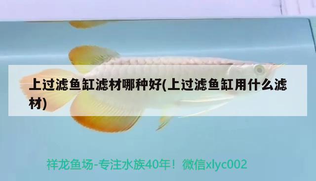 上過濾魚缸濾材哪種好(上過濾魚缸用什么濾材)