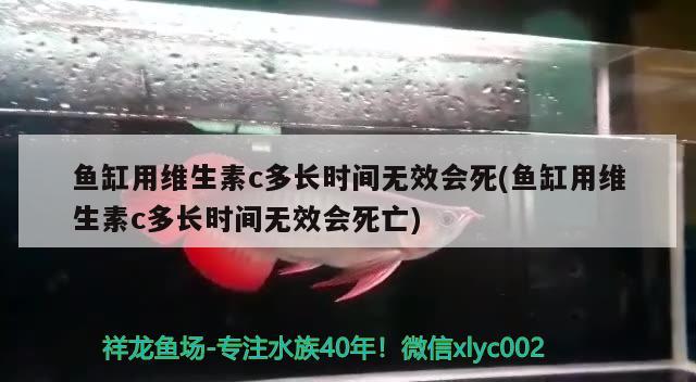 魚缸用維生素c多長時間無效會死(魚缸用維生素c多長時間無效會死亡)