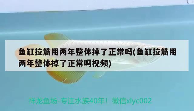 魚缸拉筋用兩年整體掉了正常嗎(魚缸拉筋用兩年整體掉了正常嗎視頻)