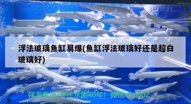 浮法玻璃魚缸易爆(魚缸浮法玻璃好還是超白玻璃好)