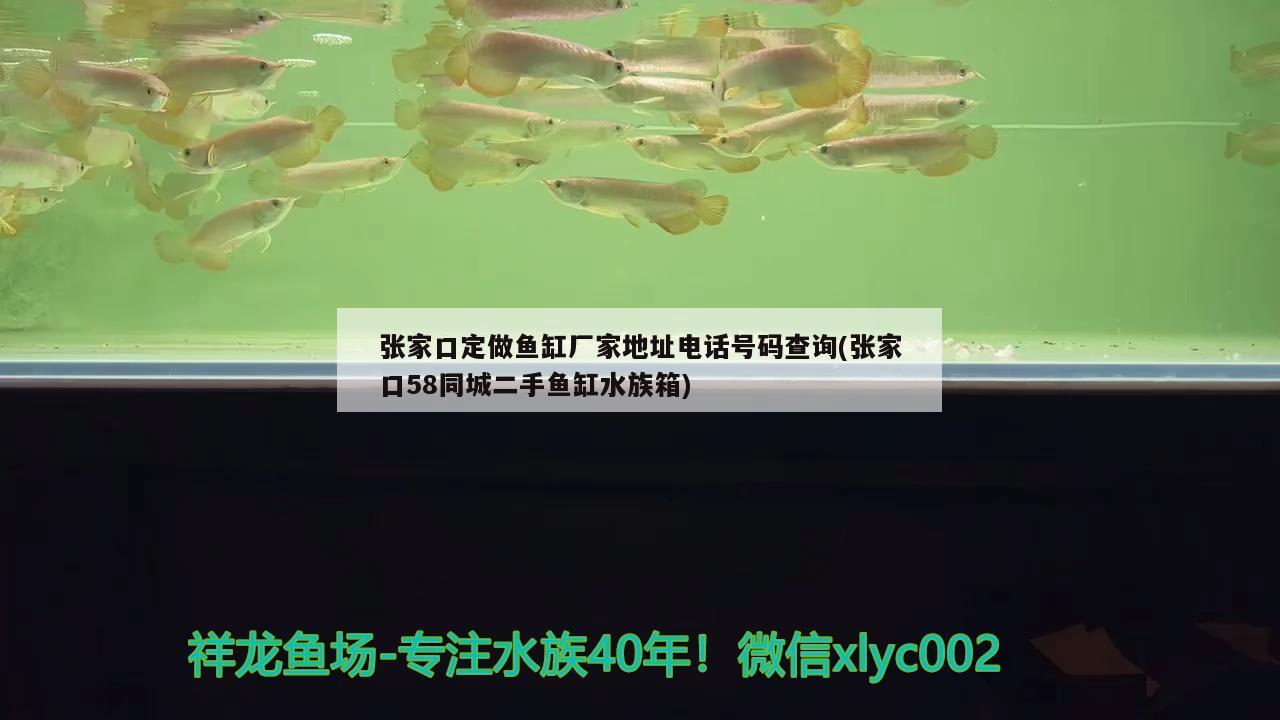 張家口定做魚缸廠家地址電話號碼查詢(張家口58同城二手魚缸水族箱) 魚缸/水族箱