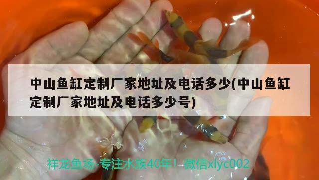 中山魚(yú)缸定制廠家地址及電話多少(中山魚(yú)缸定制廠家地址及電話多少號(hào))