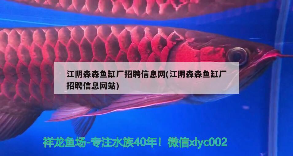 江陰森森魚缸廠招聘信息網(wǎng)(江陰森森魚缸廠招聘信息網(wǎng)站)