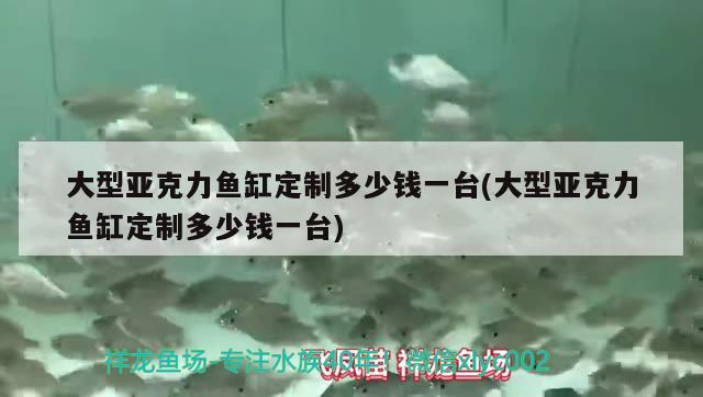 大型亞克力魚缸定制多少錢一臺(大型亞克力魚缸定制多少錢一臺)