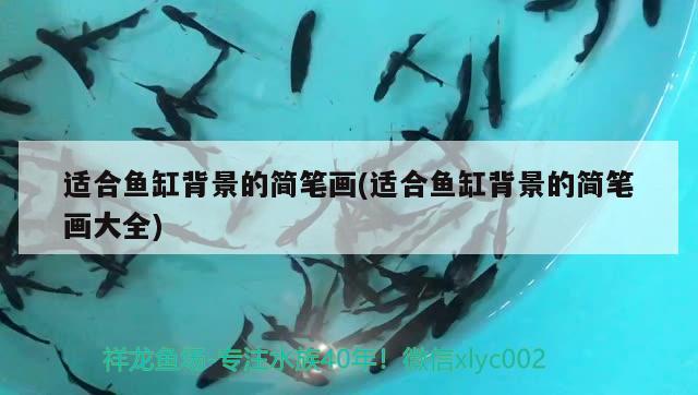 適合魚缸背景的簡筆畫(適合魚缸背景的簡筆畫大全)