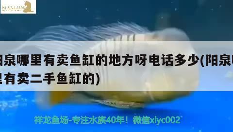 陽泉哪里有賣魚缸的地方呀電話多少(陽泉哪里有賣二手魚缸的)