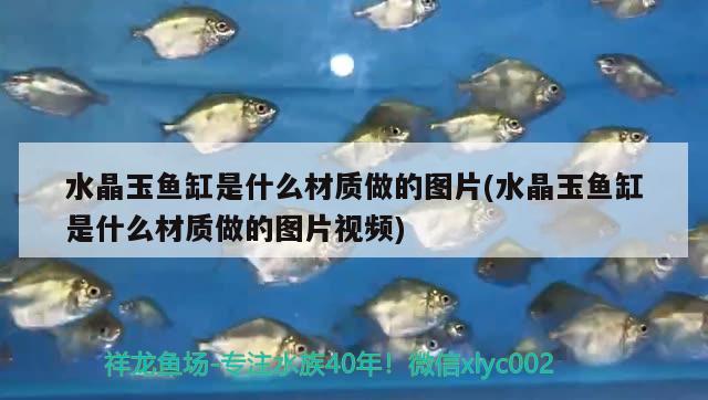 水晶玉魚缸是什么材質做的圖片(水晶玉魚缸是什么材質做的圖片視頻) 金龍魚百科