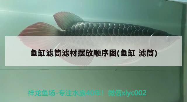 魚(yú)缸濾筒濾材擺放順序圖(魚(yú)缸濾筒)