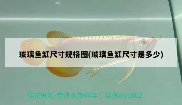 玻璃魚缸尺寸規(guī)格圖(玻璃魚缸尺寸是多少)