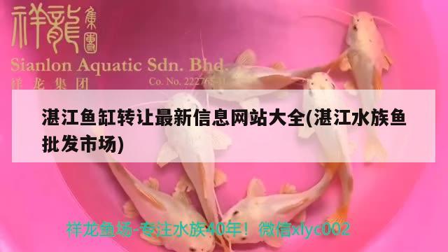 湛江魚缸轉(zhuǎn)讓最新信息網(wǎng)站大全(湛江水族魚批發(fā)市場)