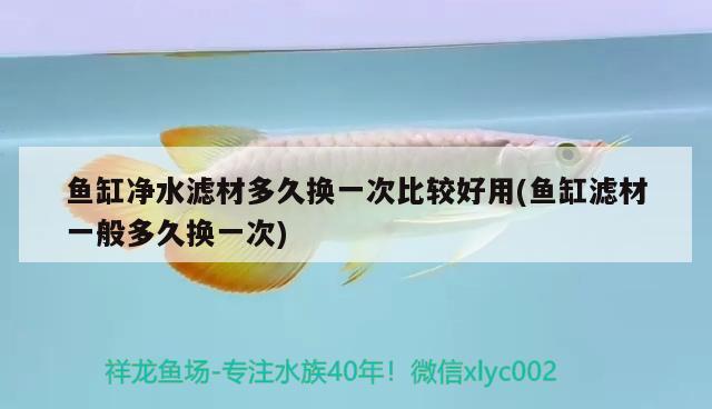 魚缸凈水濾材多久換一次比較好用(魚缸濾材一般多久換一次)