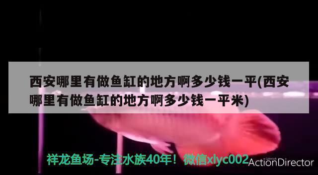 西安哪里有做魚缸的地方啊多少錢一平(西安哪里有做魚缸的地方啊多少錢一平米) 招財(cái)戰(zhàn)船魚