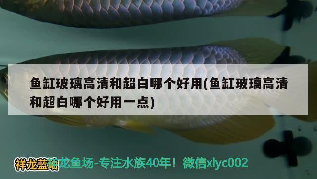 魚缸玻璃高清和超白哪個(gè)好用(魚缸玻璃高清和超白哪個(gè)好用一點(diǎn))