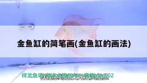 金魚(yú)缸的簡(jiǎn)筆畫(huà)(金魚(yú)缸的畫(huà)法) 七紋巨鯉魚(yú) 第1張