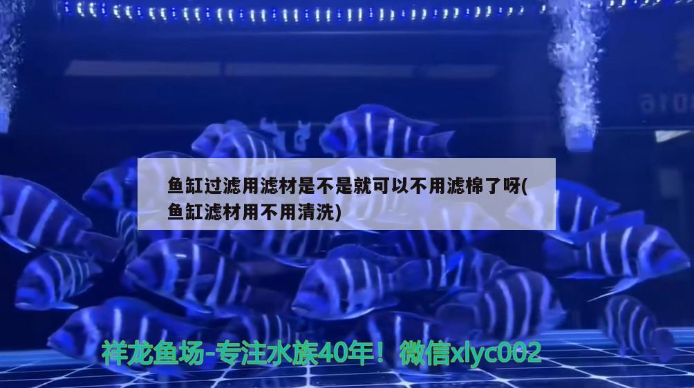 魚缸過濾用濾材是不是就可以不用濾棉了呀(魚缸濾材用不用清洗) 水草