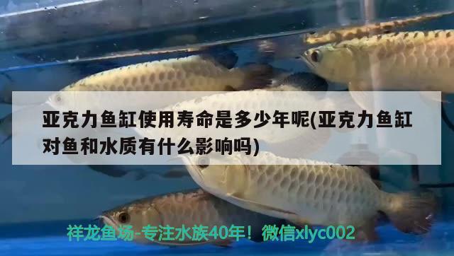 亞克力魚缸使用壽命是多少年呢(亞克力魚缸對魚和水質(zhì)有什么影響嗎) 羅漢魚批發(fā)