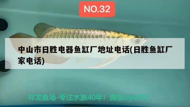 中山市日勝電器魚缸廠地址電話(日勝魚缸廠家電話) ?；?異型虎魚/純色虎魚 第2張