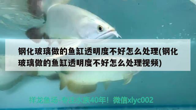 鋼化玻璃做的魚(yú)缸透明度不好怎么處理(鋼化玻璃做的魚(yú)缸透明度不好怎么處理視頻) 造景/裝飾