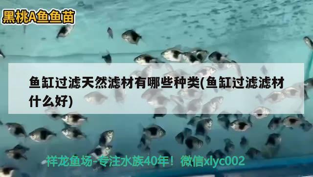 魚缸過濾天然濾材有哪些種類(魚缸過濾濾材什么好) 朱巴利魚