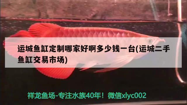 運城魚缸定制哪家好啊多少錢一臺(運城二手魚缸交易市場)