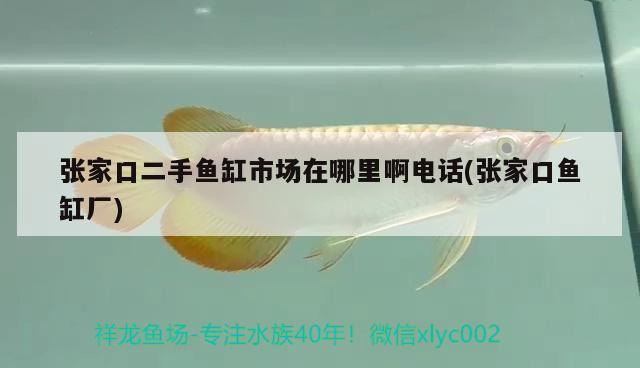 張家口二手魚(yú)缸市場(chǎng)在哪里啊電話(張家口魚(yú)缸廠)