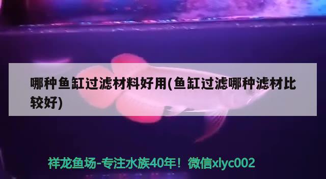 哪種魚(yú)缸過(guò)濾材料好用(魚(yú)缸過(guò)濾哪種濾材比較好)