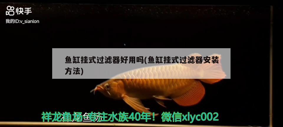 魚缸掛式過濾器好用嗎(魚缸掛式過濾器安裝方法) 魟魚百科