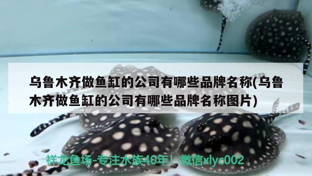 烏魯木齊做魚缸的公司有哪些品牌名稱(烏魯木齊做魚缸的公司有哪些品牌名稱圖片)