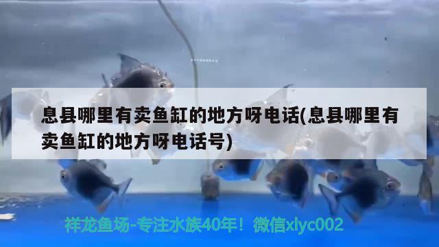 息縣哪里有賣魚缸的地方呀電話(息縣哪里有賣魚缸的地方呀電話號)