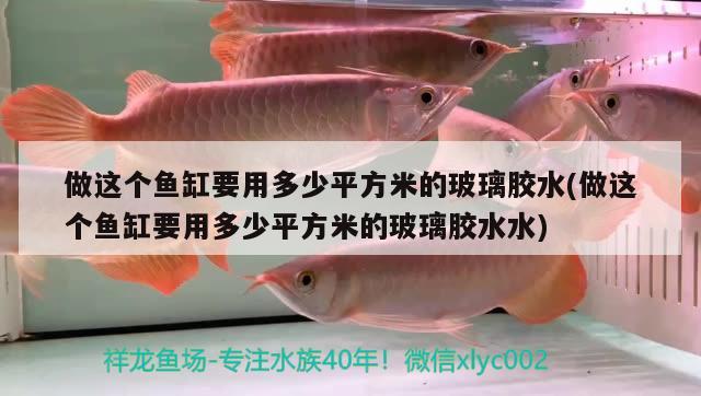 做這個(gè)魚(yú)缸要用多少平方米的玻璃膠水(做這個(gè)魚(yú)缸要用多少平方米的玻璃膠水水) 造景/裝飾