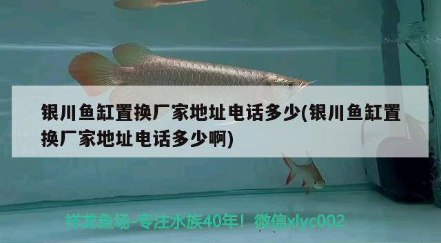 銀川魚缸置換廠家地址電話多少(銀川魚缸置換廠家地址電話多少啊) 元寶鳳凰魚專用魚糧