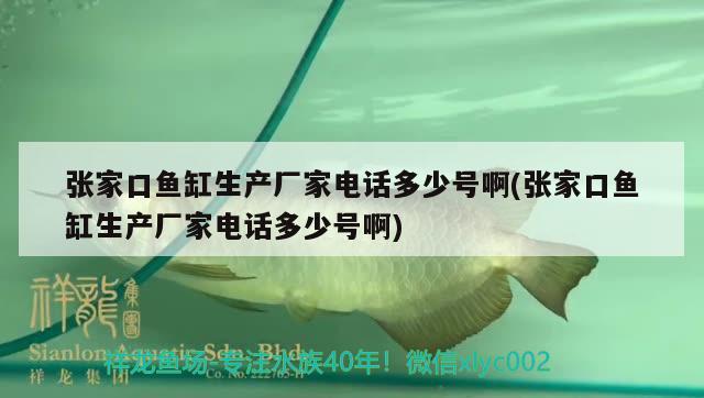 張家口魚(yú)缸生產(chǎn)廠家電話多少號(hào)啊(張家口魚(yú)缸生產(chǎn)廠家電話多少號(hào)啊) 其他益生菌