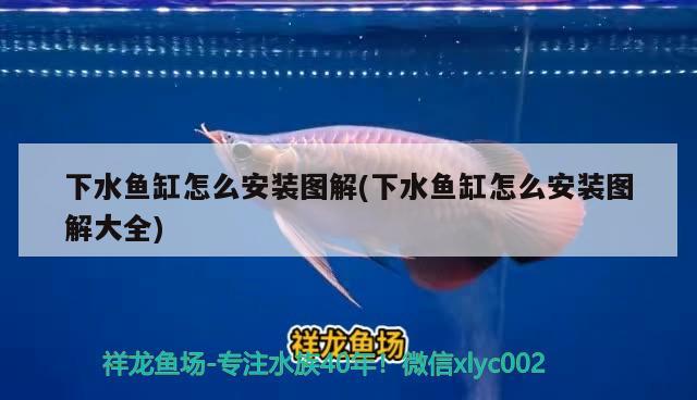 下水魚缸怎么安裝圖解(下水魚缸怎么安裝圖解大全)