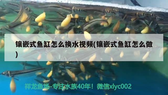 鑲嵌式魚缸怎么換水視頻(鑲嵌式魚缸怎么做)