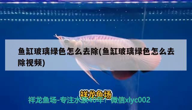 魚缸玻璃綠色怎么去除(魚缸玻璃綠色怎么去除視頻)