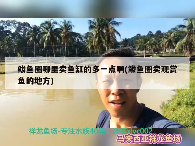 鲅魚圈哪里賣魚缸的多一點啊(鲅魚圈賣觀賞魚的地方)