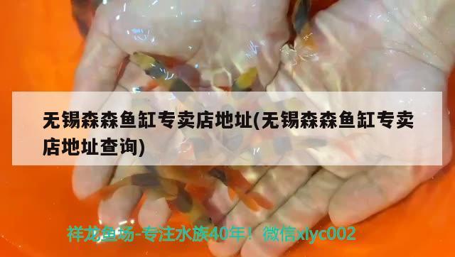 無錫森森魚缸專賣店地址(無錫森森魚缸專賣店地址查詢)