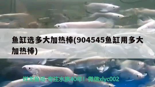 魚缸選多大加熱棒(904545魚缸用多大加熱棒)